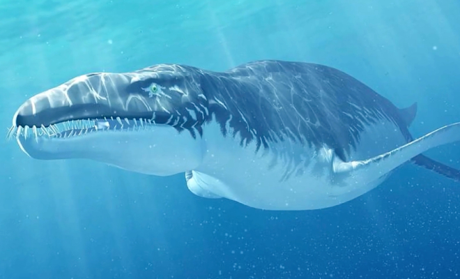 Кадр из видео @Extinctofficial